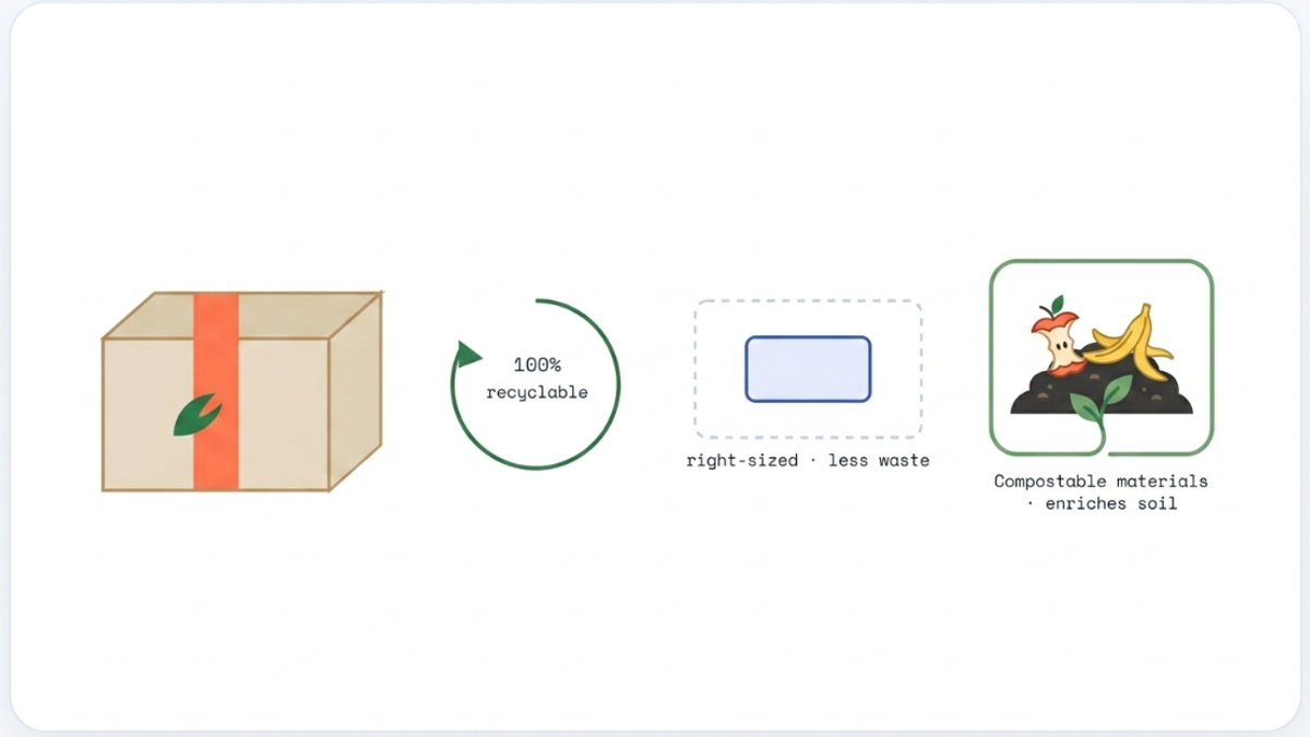 A sustainability infographic highlighting eco-friendly shipping practices: 100% recyclable boxes, right-sized packaging, and compostable materials.