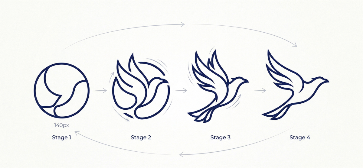 A four-stage design diagram on a clean white background showing the evolution of a minimalist logo. It begins as a simple circular outline and progressively morphs into the fluid, elegant shape of a bird in flight.