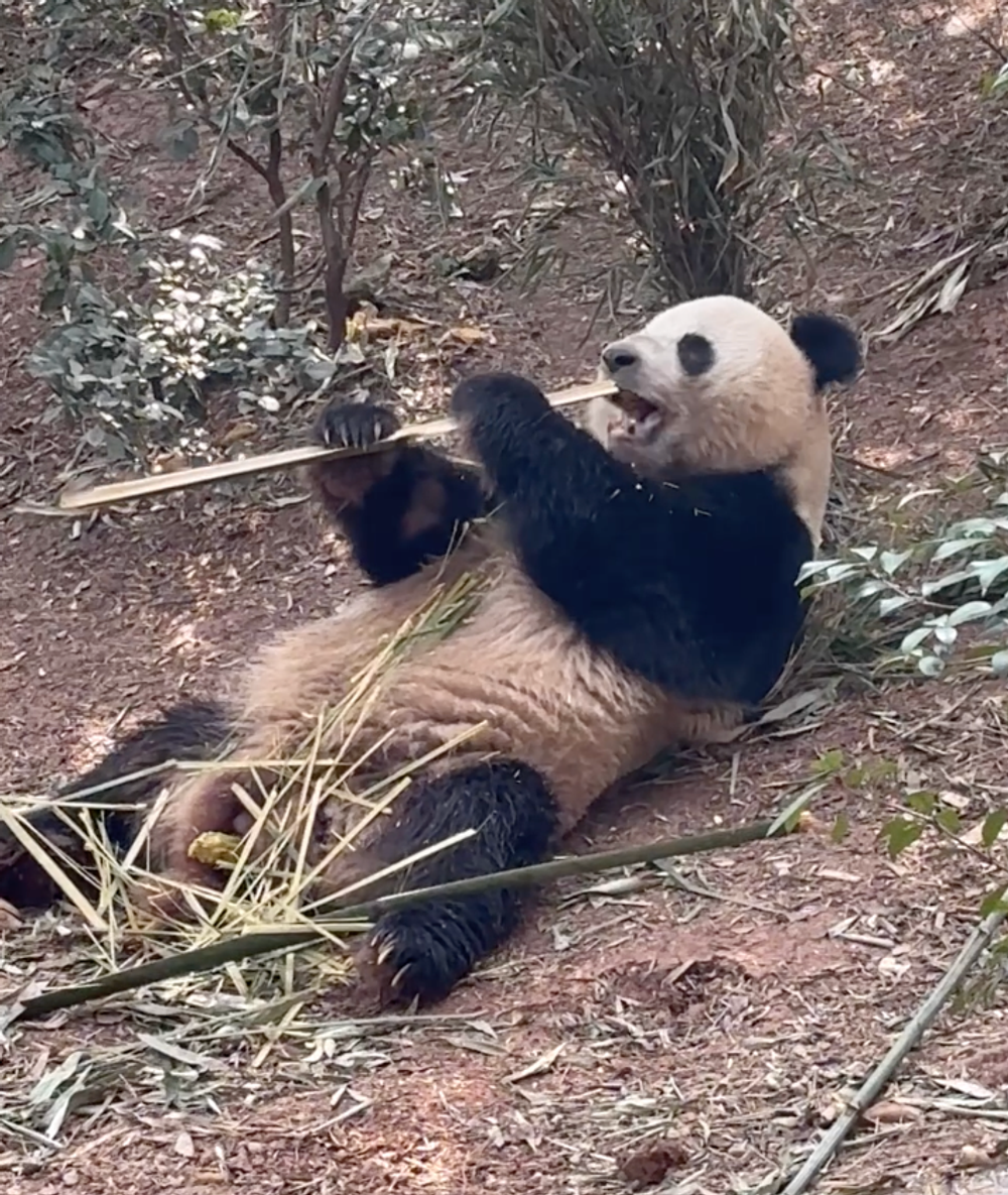 Chengdu 成都市