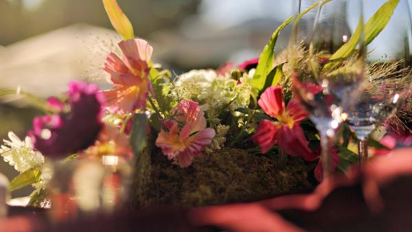 Bay Area Wedding Color Palettes 2026: Terracotta, Sage, and Champagne