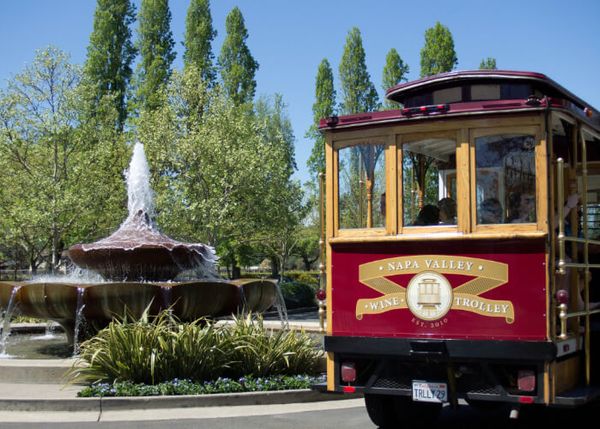 Napa Valley Wine Trolley gallery photo 2