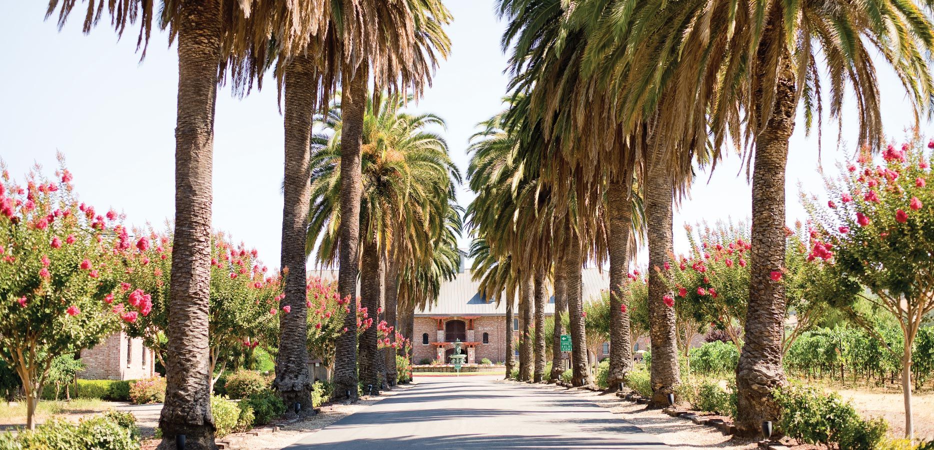 Palm Event Center in the Vineyard - Venue in Pleasanton