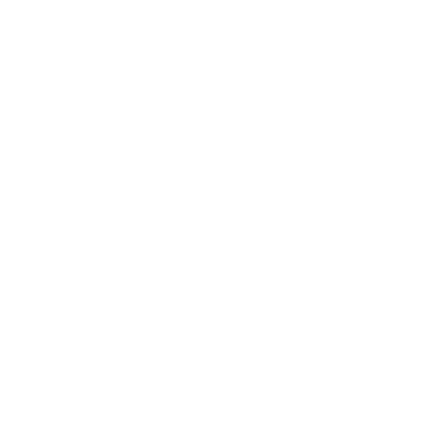 Courtney Bow Photography + Videography gallery photo 1