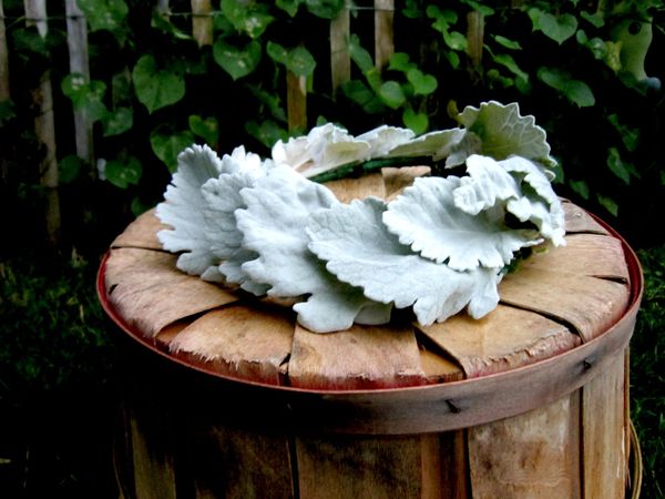 Peony & Pineapple gallery photo 4