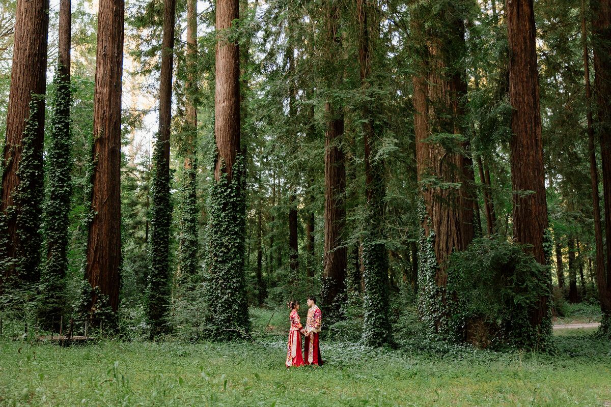 Wild Love and Wanderlust