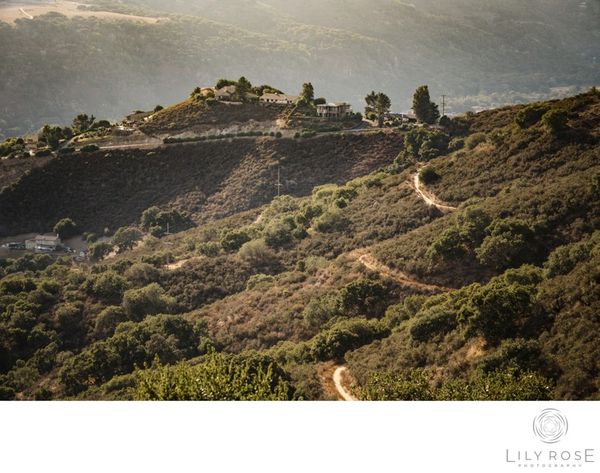 Lily Rose Photography gallery photo 5