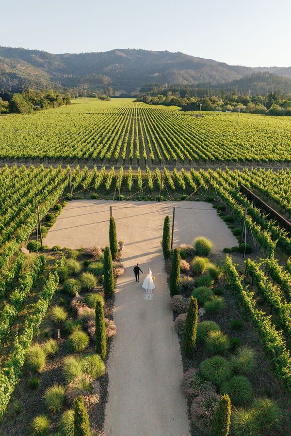 Under the Vine Events gallery photo 2