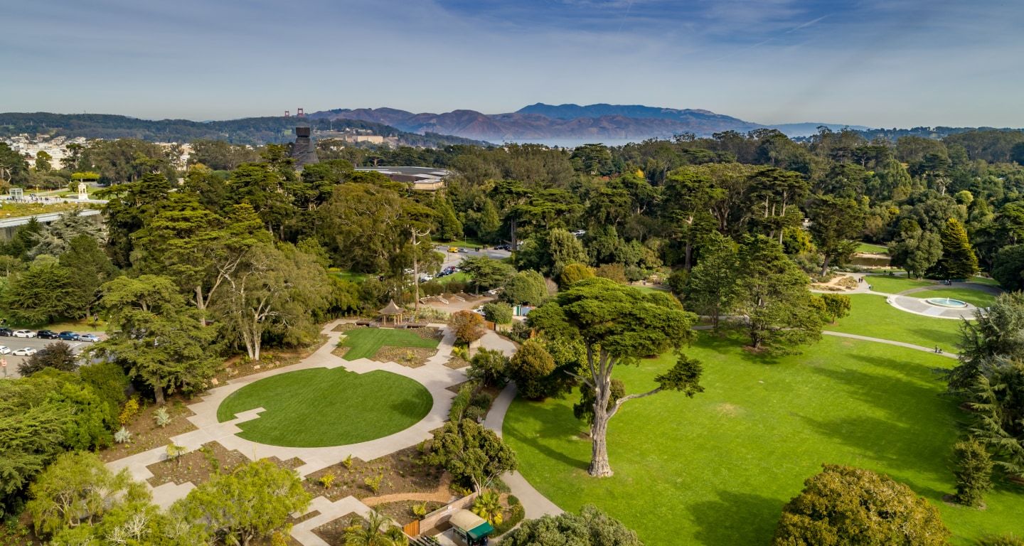 SF Botanical Garden Redwood Grove - Venue in San Francisco