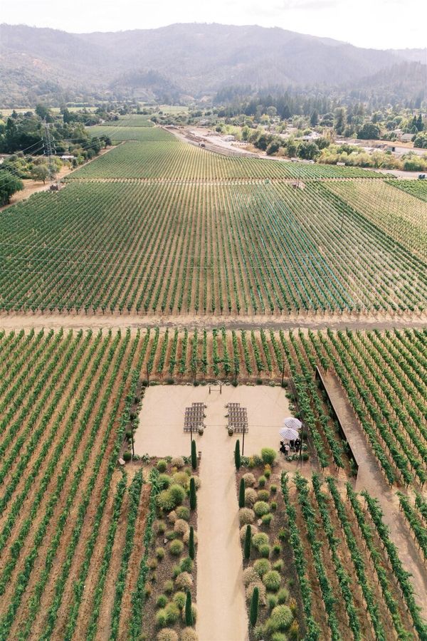 Under the Vine Events gallery photo 3
