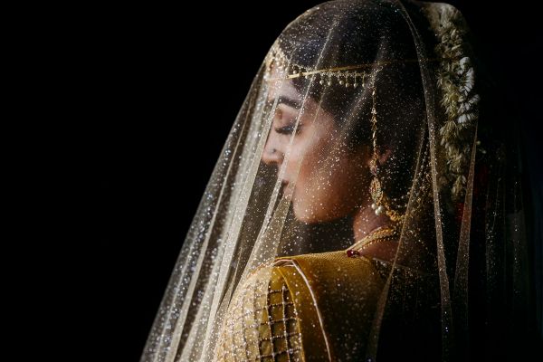 David N. Sachs Photography + Film gallery photo 10