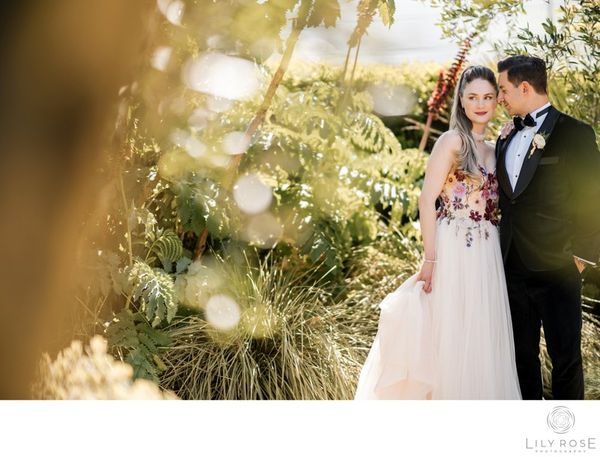 Lily Rose Photography gallery photo 1