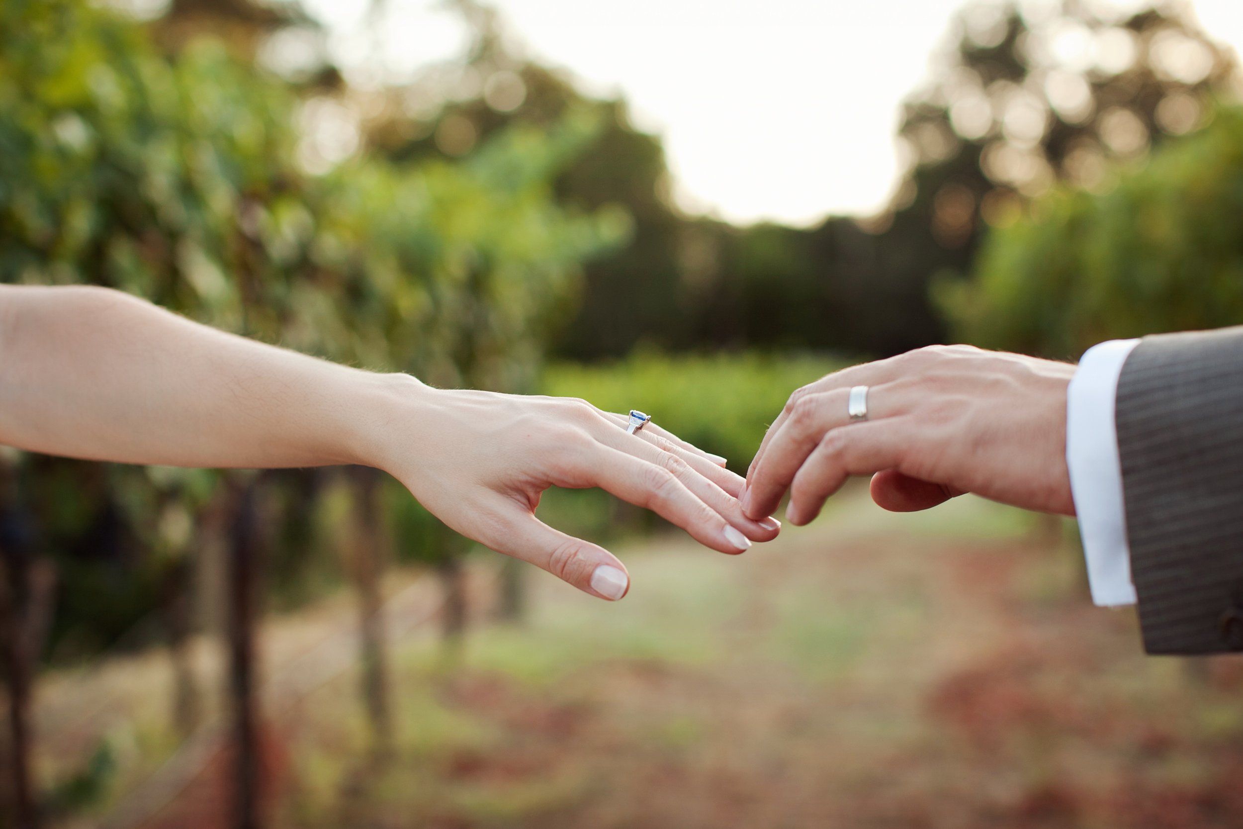 Megan Reeves Photography