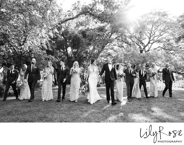 Lily Rose Photography gallery photo 2