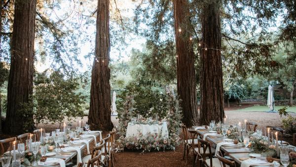 The Best Outdoor Wedding Venues in the East Bay