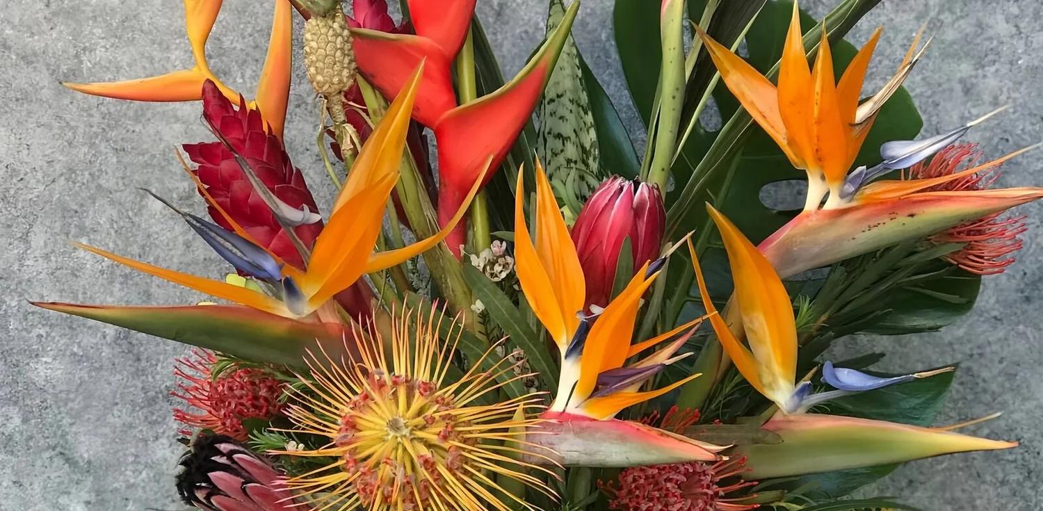 Marin Flowers cover photo