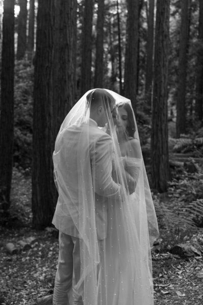 Toni Van Dorst Photography - Photographer in San Francisco