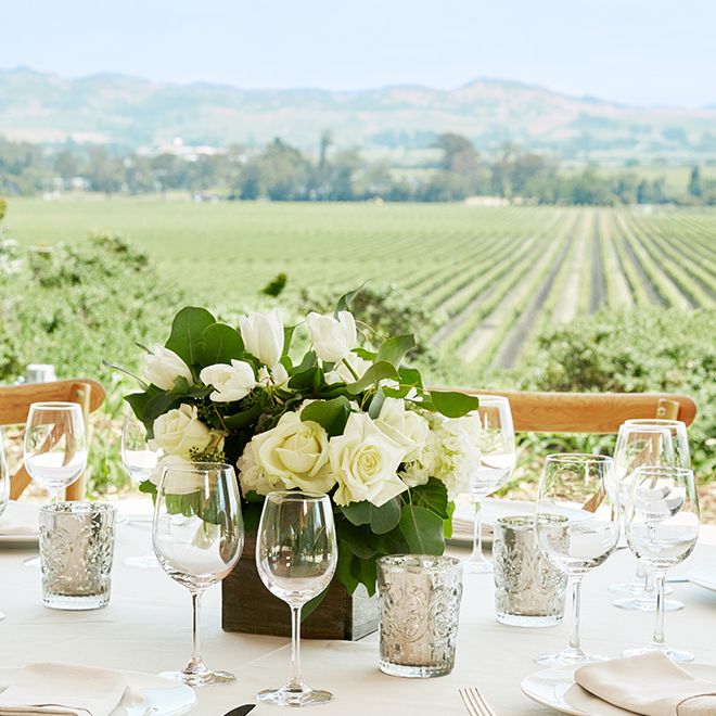 Gloria Ferrer Winery