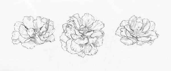 JenniFlora gallery photo 3