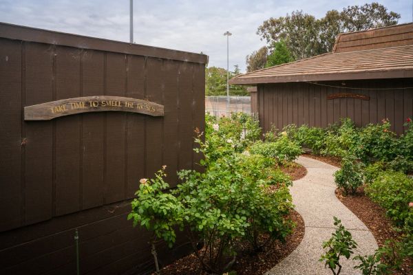 San Mateo Garden Center gallery photo 2