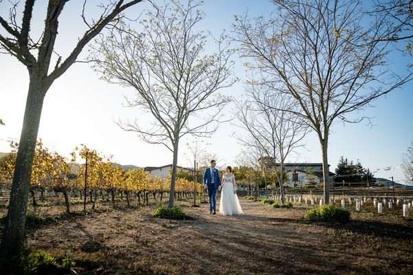 Our Little Wedding gallery photo 4
