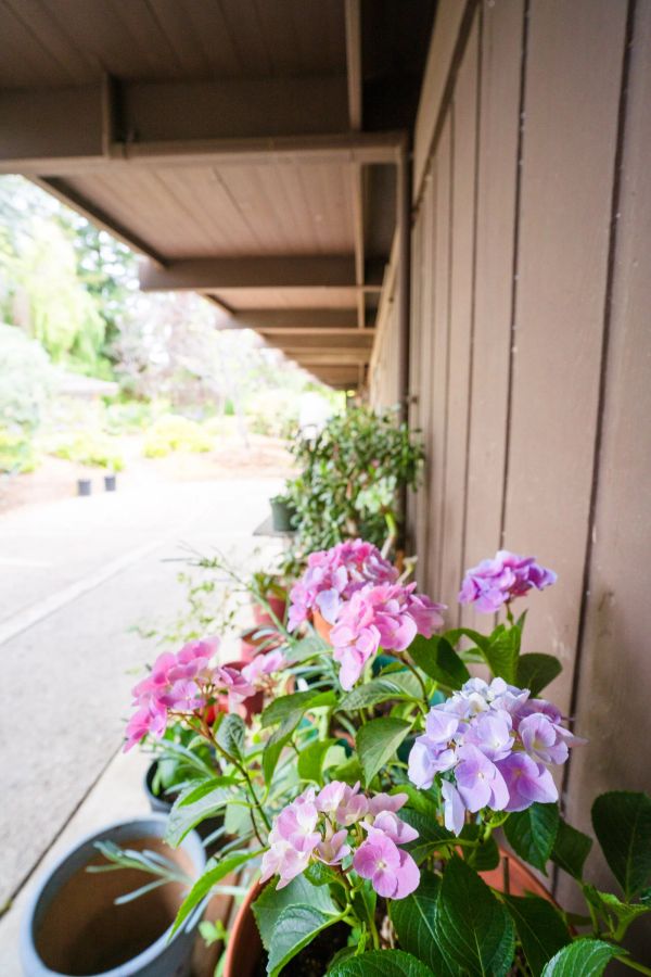 San Mateo Garden Center gallery photo 1