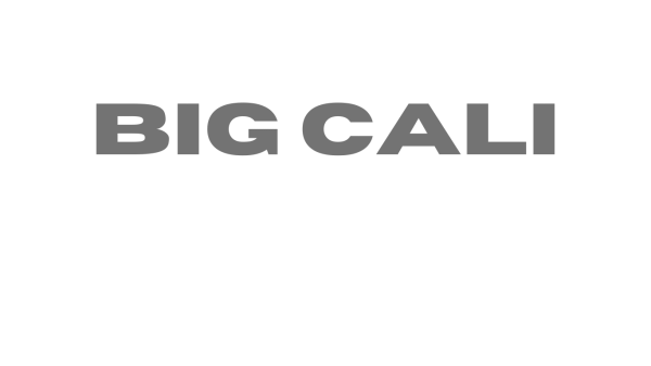 DJ Big Cali gallery photo 1