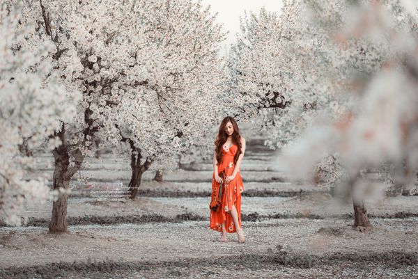 Thanh Trinh Photography gallery photo 3