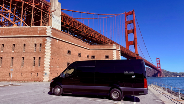 MGL Limo gallery photo 4