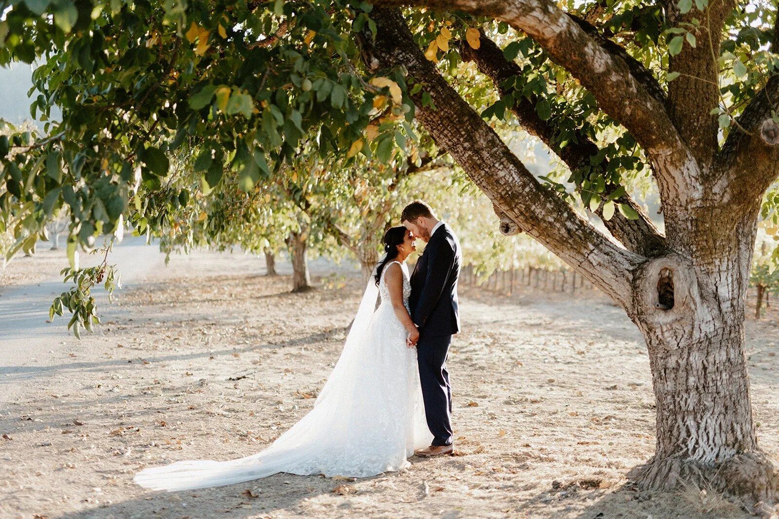 Limelight Productions - Planner & Coordinator in San Francisco
