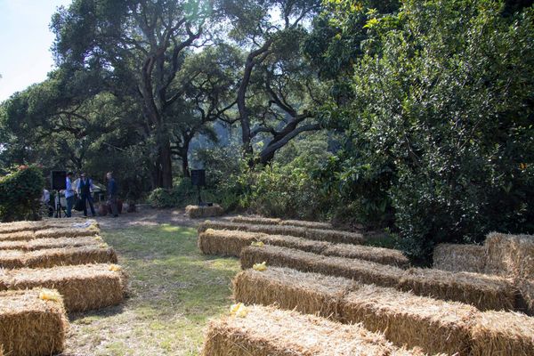 Bay Area Off-Season Weddings: Real Savings in January and February