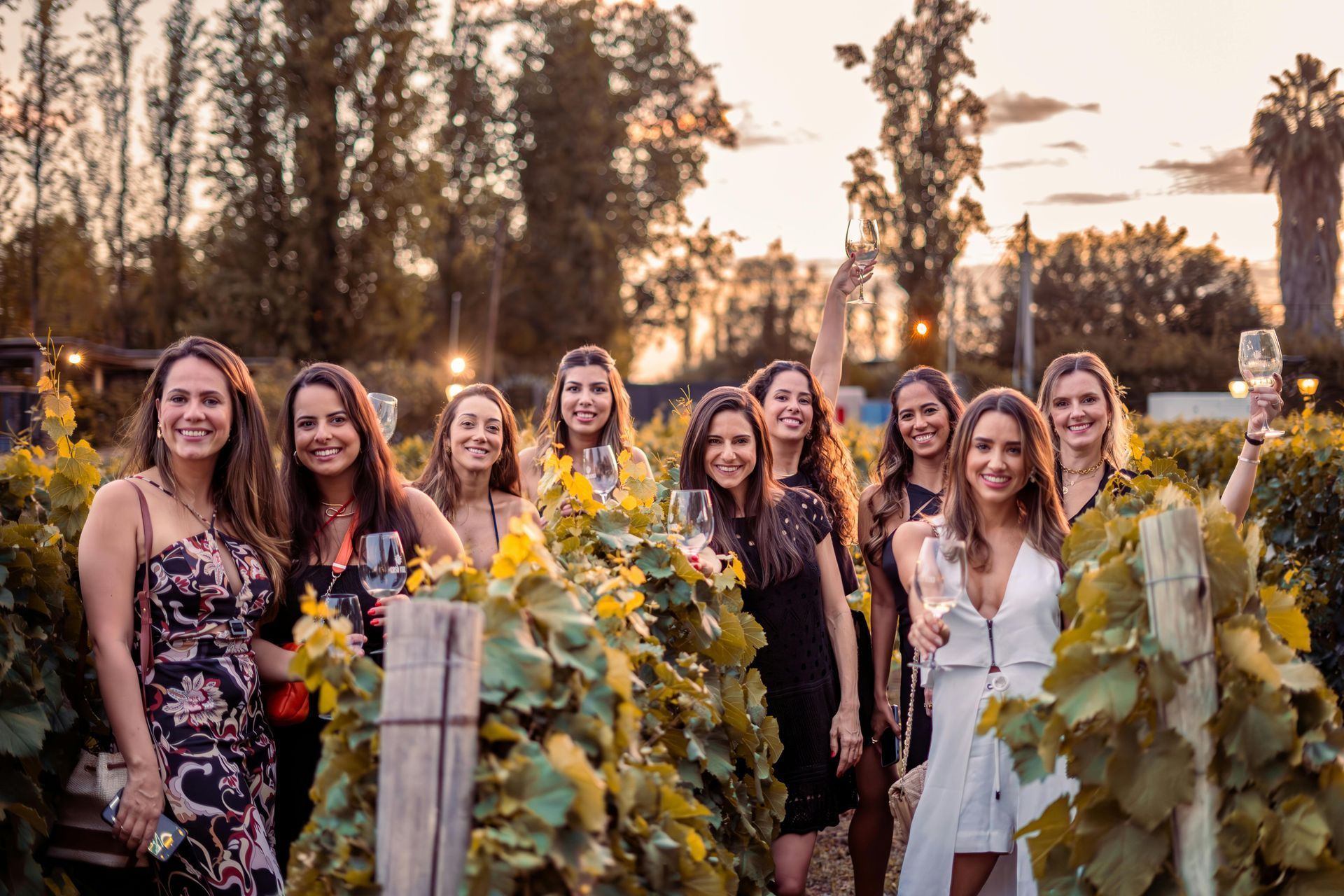 Limo Affair cover photo