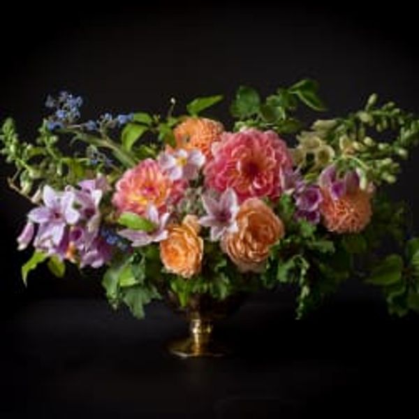 Sebastopol, Santa Rosa & Sonoma County Florist - California Sister gallery photo 4