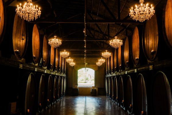 Merryvale Vineyards gallery photo 10
