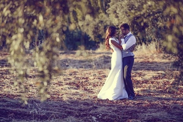 Apex Wine Tours & Limo Service cover photo