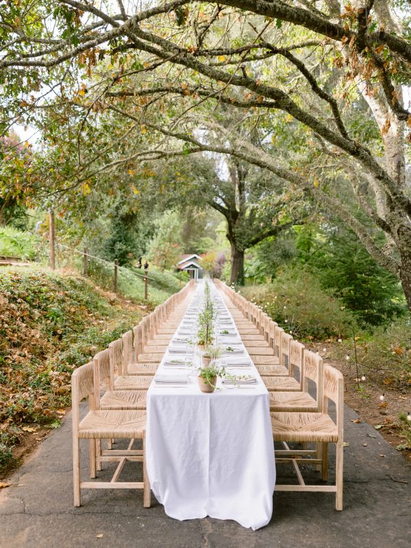 The Madrona gallery photo 1