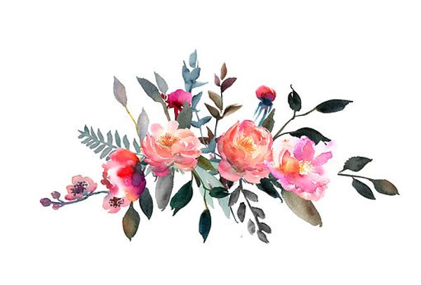 Peony & Pineapple gallery photo 2