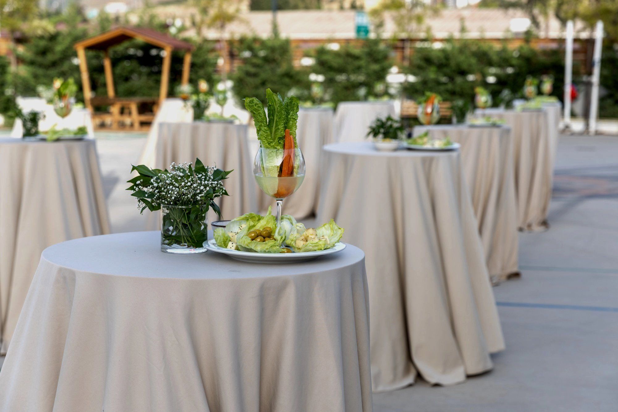 LV Event Rentals cover photo