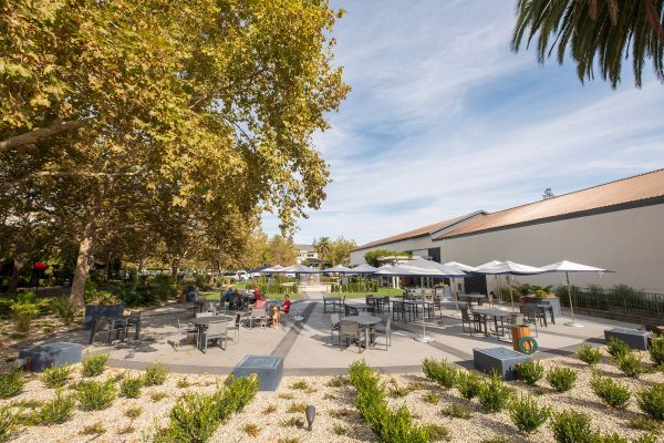 Merryvale Vineyards gallery photo 11