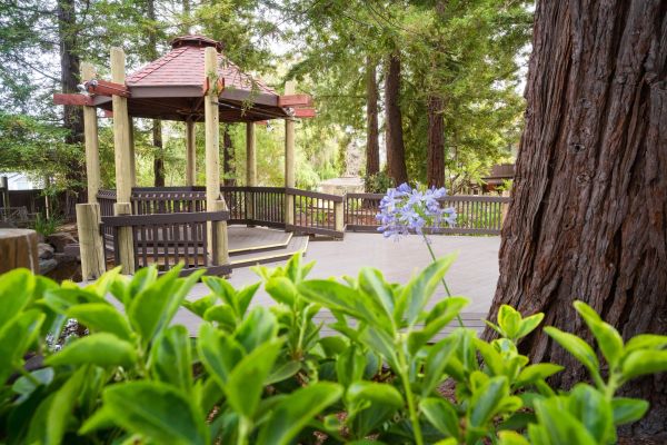 San Mateo Garden Center gallery photo 3