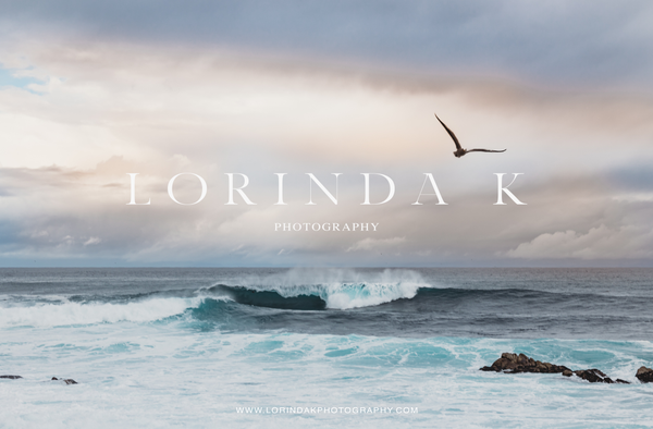 Lorinda K Photography gallery photo 4