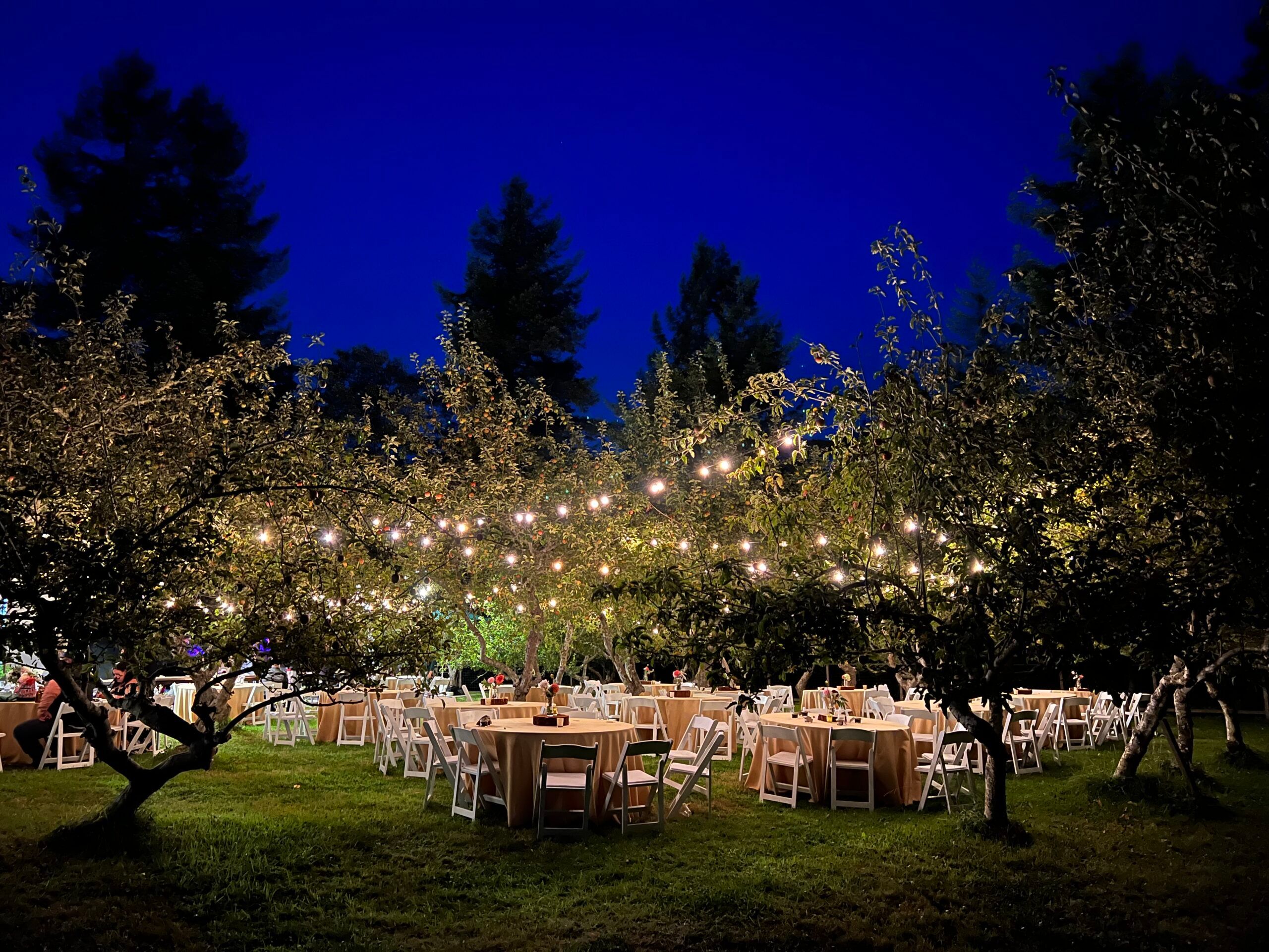 Mitchell Grove - Venue in Eureka