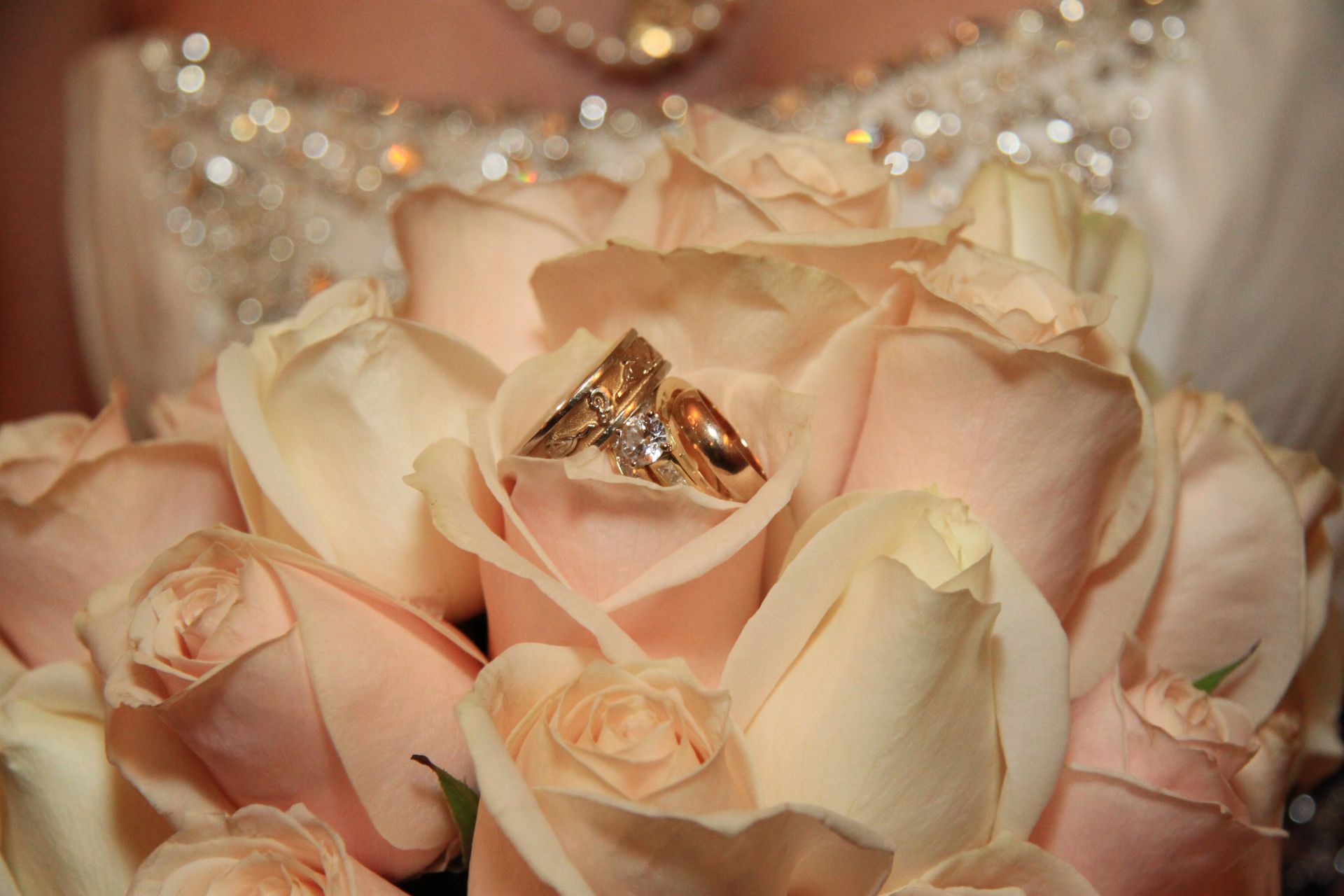 My SF Wedding - Officiant in San Francisco