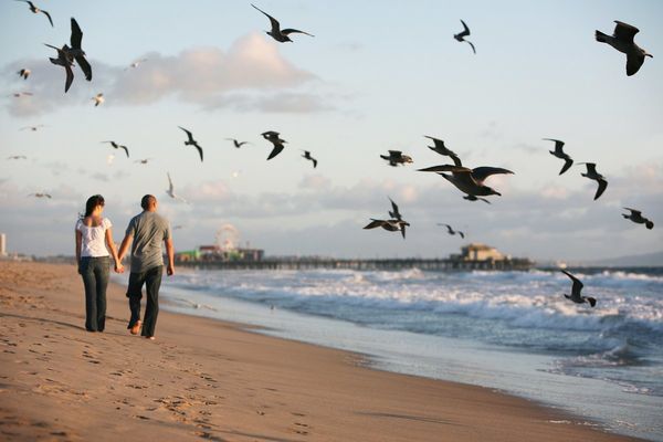 Carrie Chen Photography gallery photo 2