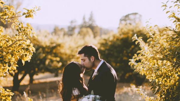 Owl & Tree Wedding Films gallery photo 1