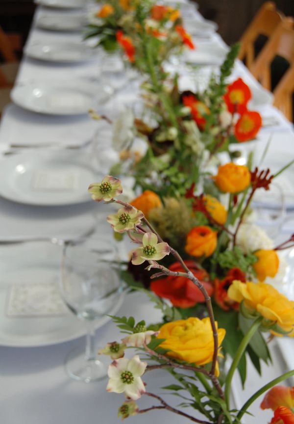The Monkey Flower Group gallery photo 4