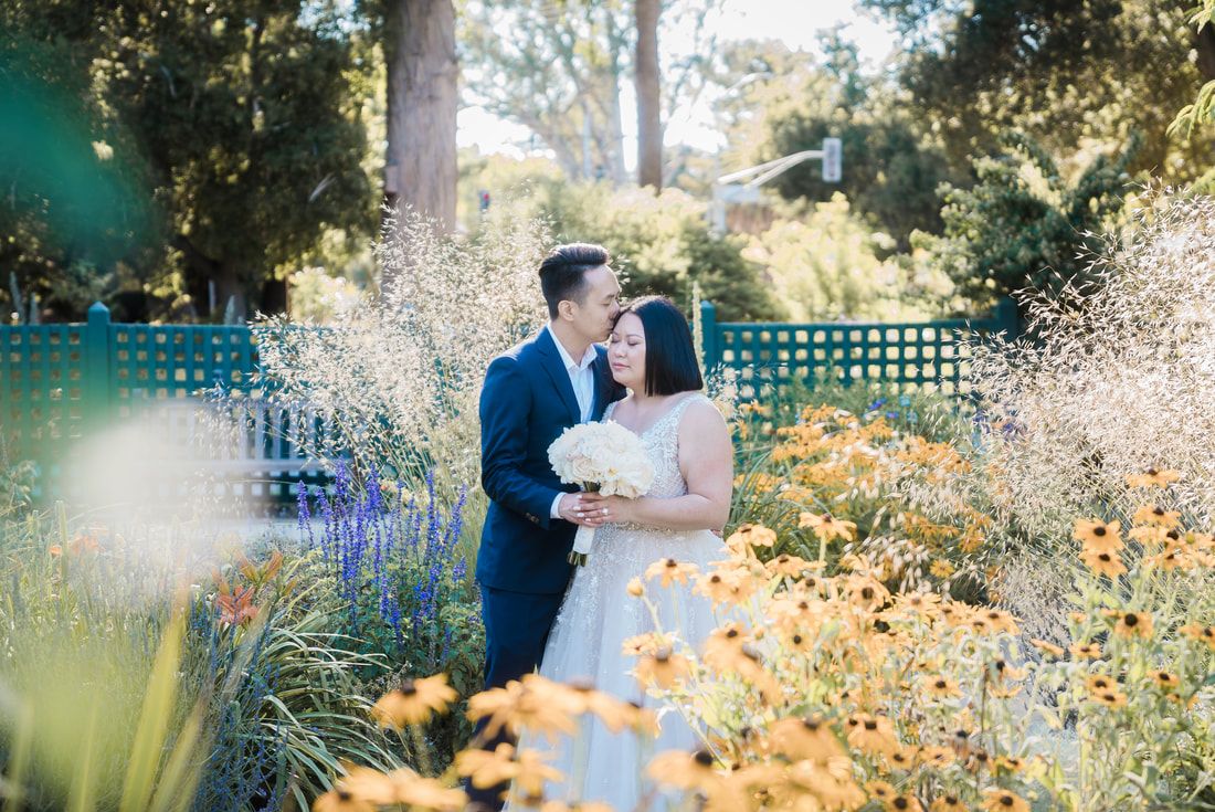 Dream Together Films