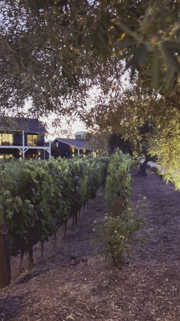 Snap and Wine gallery photo 1