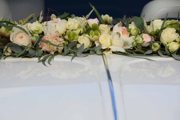 Wine Country Limos gallery photo 3