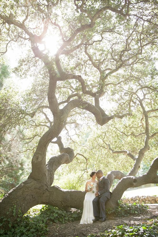 Carrie Chen Photography gallery photo 3