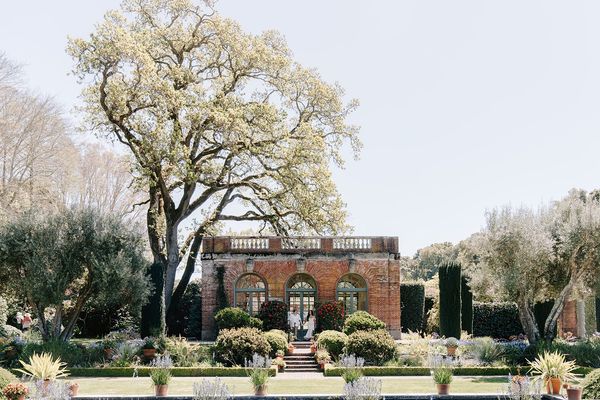 Torez Marguerite Photography gallery photo 1